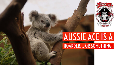 CMS | Aussie Aces Is A Hoarder... Or Something