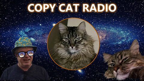 Copy Cat Radio: 10PM EST Weekly on Sunday