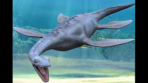 Lake Monsters