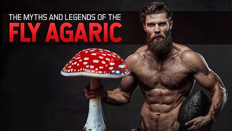 Fly Agaric Mushrooms and Viking Berserkers - What We Think We Know about Amanita muscaria