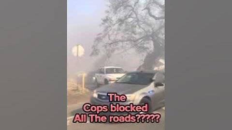 Family of 12, Harrowing Escape from Lahaina Fire: Cops Block Route, Flames Feet Away!