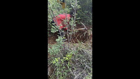 Gold hunting in Zimbabwe