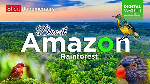 Intresting Fact About Amazon Rainforest Brazil