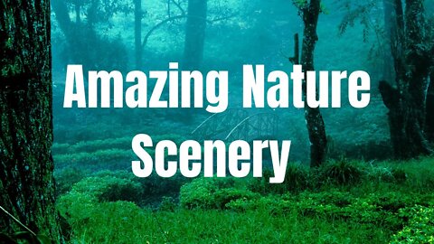 Amazing Nature Scenery & Relaxing Music for Stress Relief.