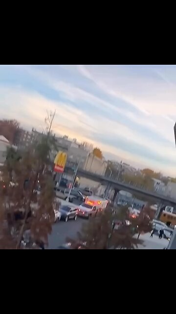 #viralvideo #goingballlevel30 #funny #humor #cat #goingballsnormal