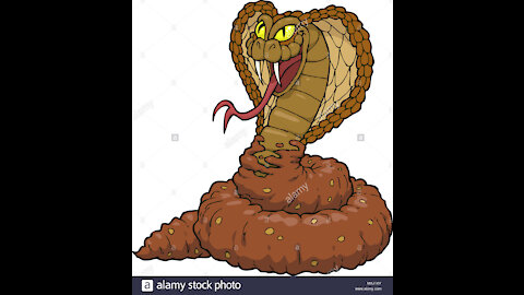 00DEZZ Vs Snake