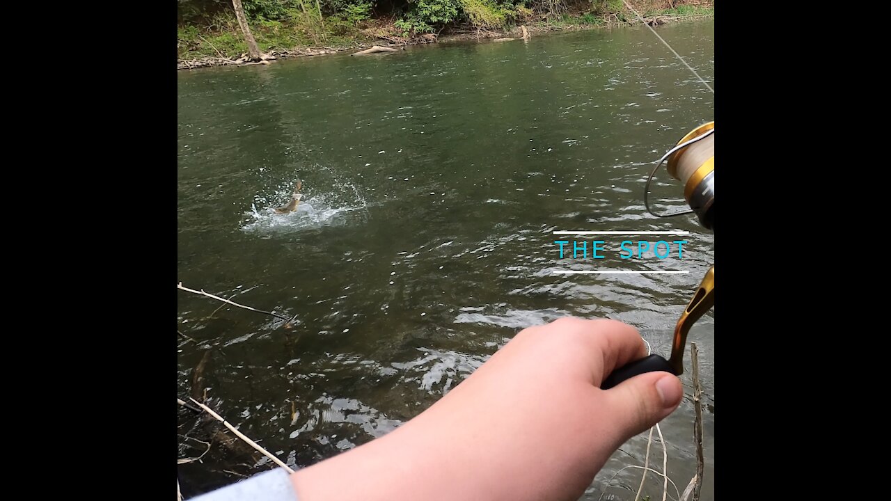 The Spot: Trout Fishing