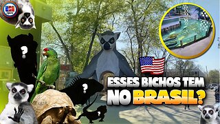 Zoo Pertinho de casa! - Houston Interactive Aquarium & Animal Preserve