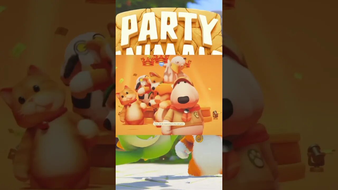 Party Animals