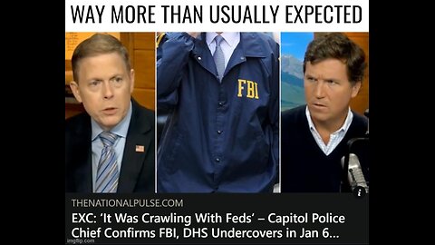 How Many FEDs Does It Take To Stage an Insurrection?