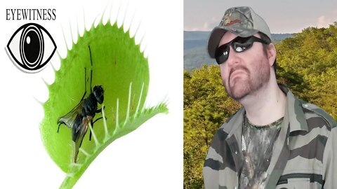 Eyewitness - Plant - US Version feat. Martin Sheen - S3E11 (Beyond Wildlife) REACTION!!! (BBT)