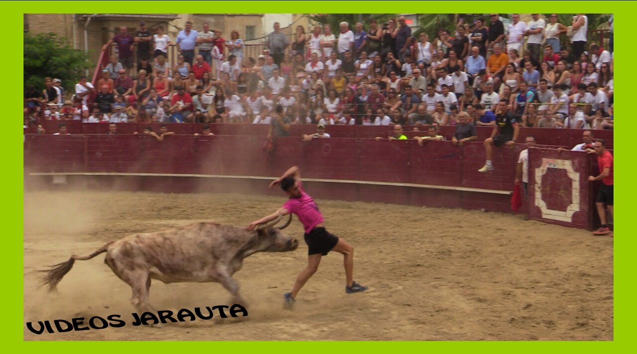 ARGUEDAS ( NAVARRA ) TARDE VACAS PLAZA ( DOMINGO 7 AGOSTO 2022 ) ALFREDO IÑIGUEZ