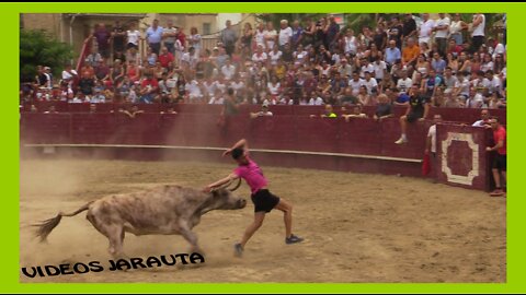ARGUEDAS ( NAVARRA ) TARDE VACAS PLAZA ( DOMINGO 7 AGOSTO 2022 ) ALFREDO IÑIGUEZ