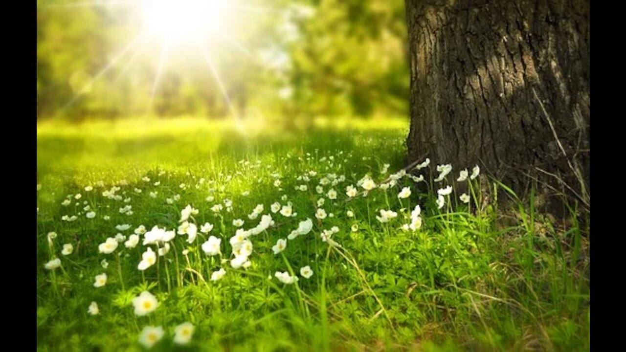 Some of Beautiful Nature Stock Footage