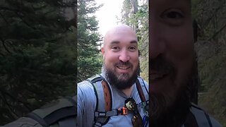 We spotted a WILD MOOSE!