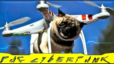 Funny pug cyberpunk