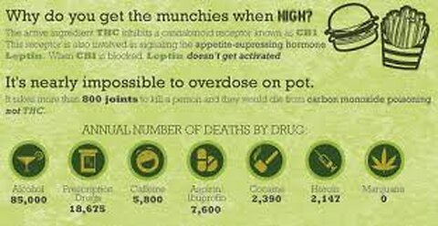 FREE WEED FROM SOCIAL EQUITY - SO MANY PHARMACEUTICALS SO WHATS W/ WEED