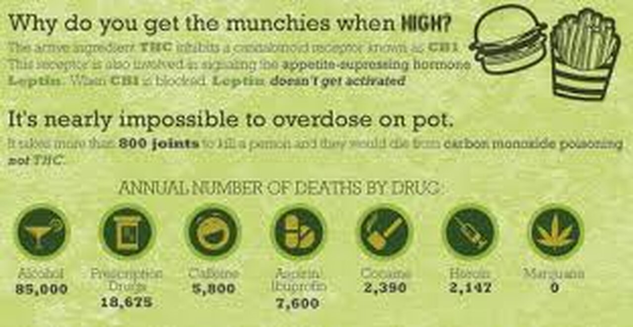 FREE WEED FROM SOCIAL EQUITY - SO MANY PHARMACEUTICALS SO WHATS W/ WEED