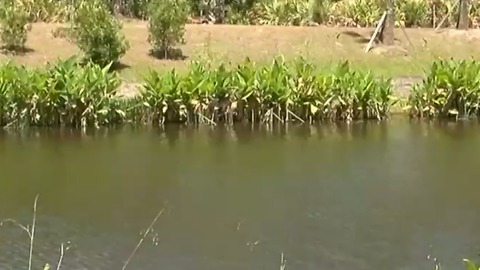 Cleaning up one of the most polluted area waterways