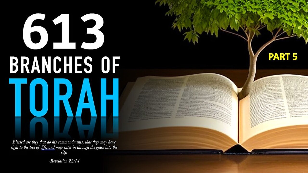 Branches of Torah Vol 5