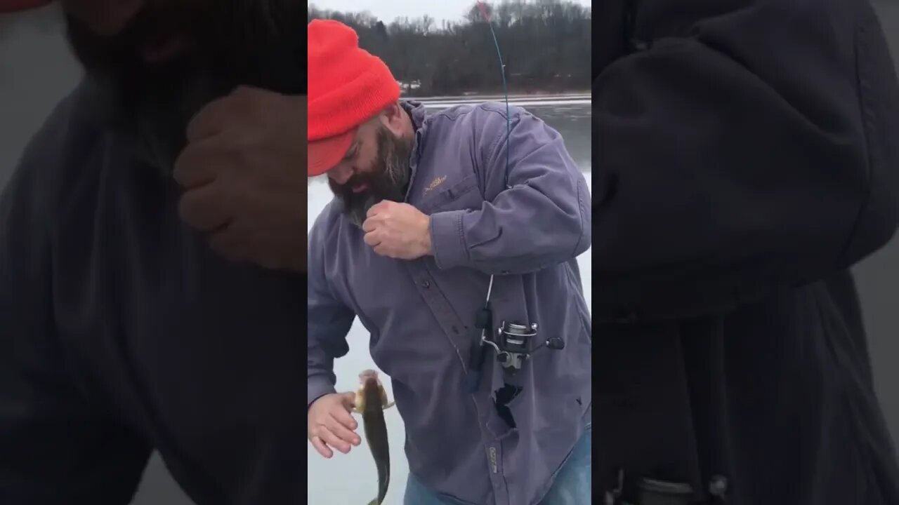 Ice fishing #icefishing #icefishingtips #icefishingvideo