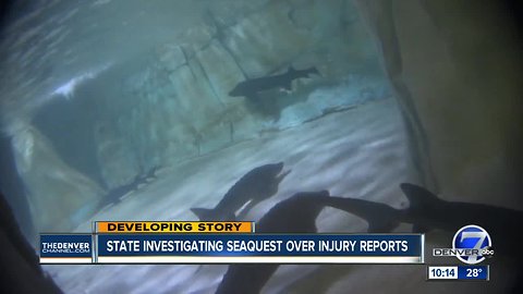Reports of injuries pile up at SeaQuest Interactive Aquarium, State confirms ongoing investigation
