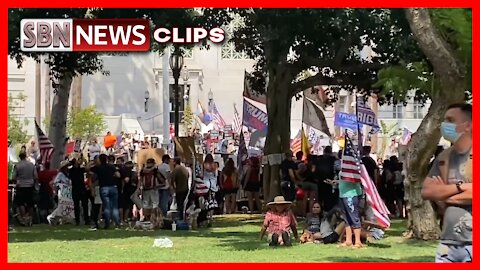 Lefty-Desiree Mclefty Face, Antifa Paparazzi - 3056