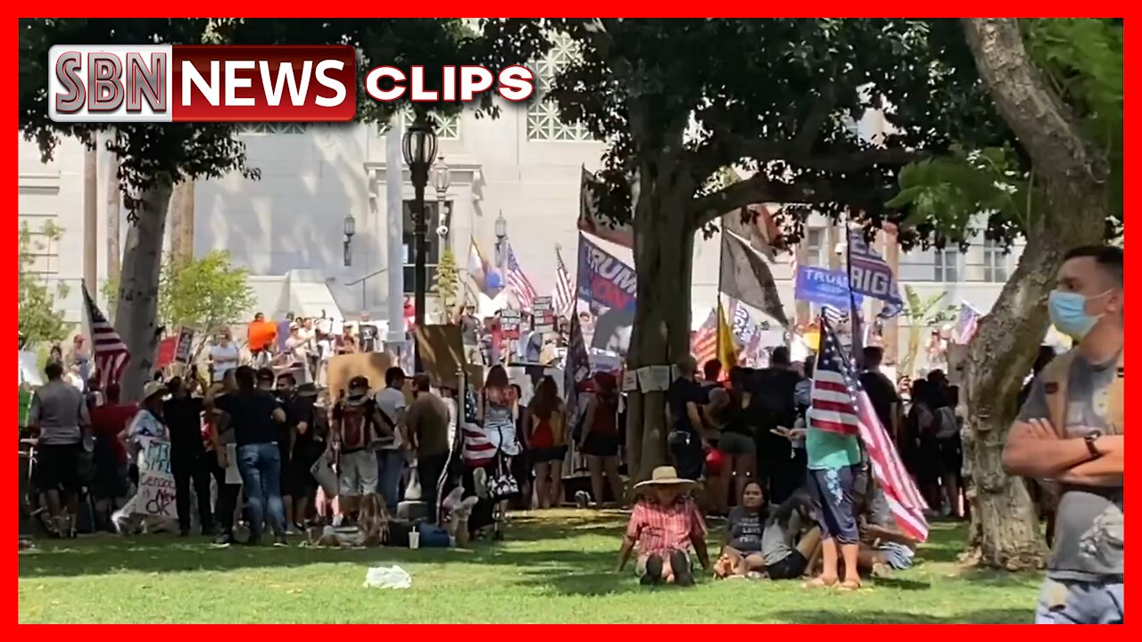 Lefty-Desiree Mclefty Face, Antifa Paparazzi - 3056