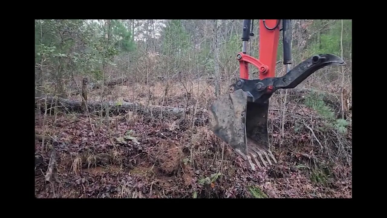 From Cluttered and Overgrown to Clear In Three Days- Davis Excavation
