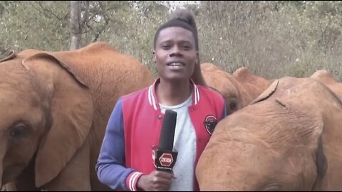 19 августа 2023 г.