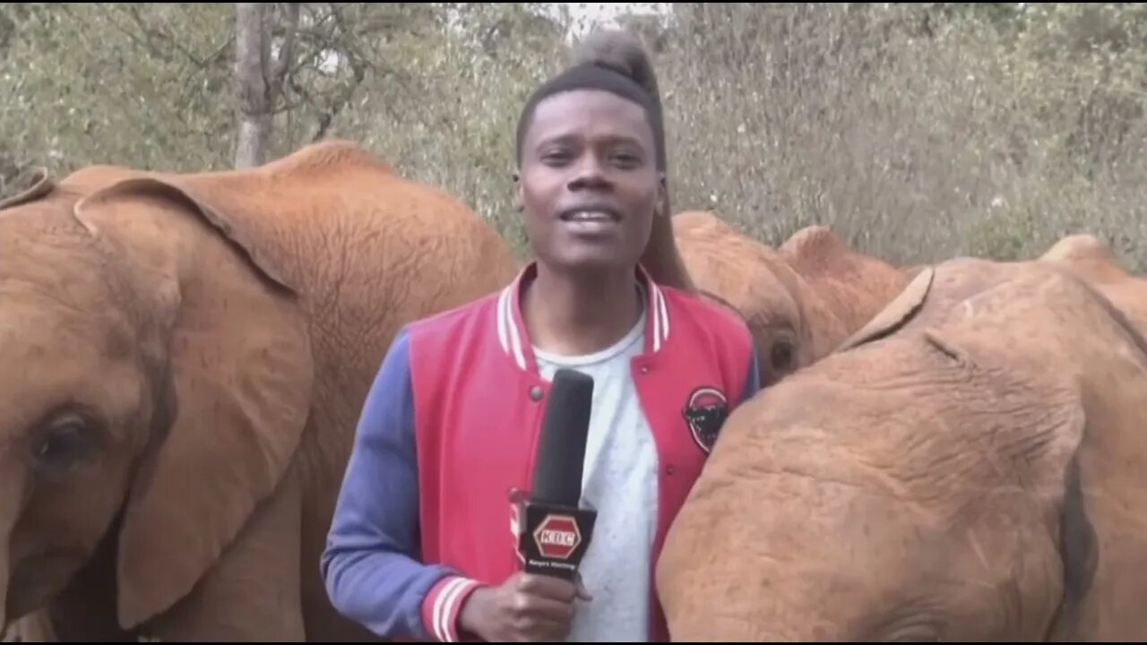 19 августа 2023 г.