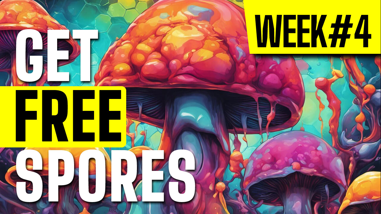 Free Spores Give Away Week 4