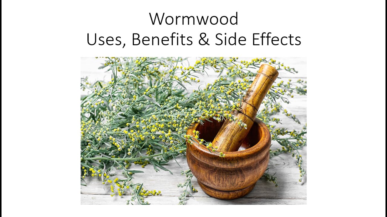 Wormwood - Uses, Benefits & Side Effects