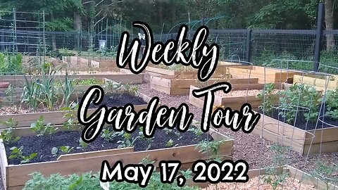 Raised Bed Garden Tour | May 17, 2022