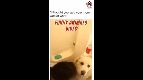 Funny Hilarious video That makes you Laugh😂😂 part-5