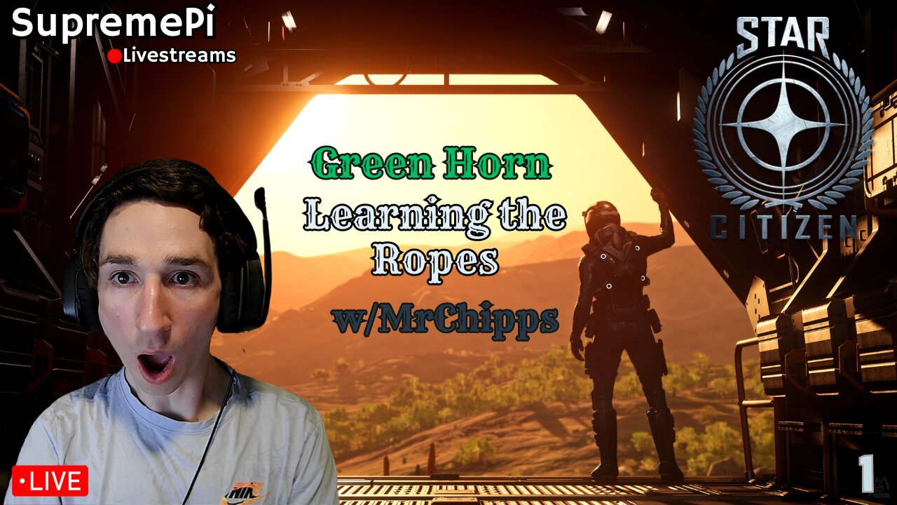 ⭐Star Citizen⭐Solo run/New player (3)⭐