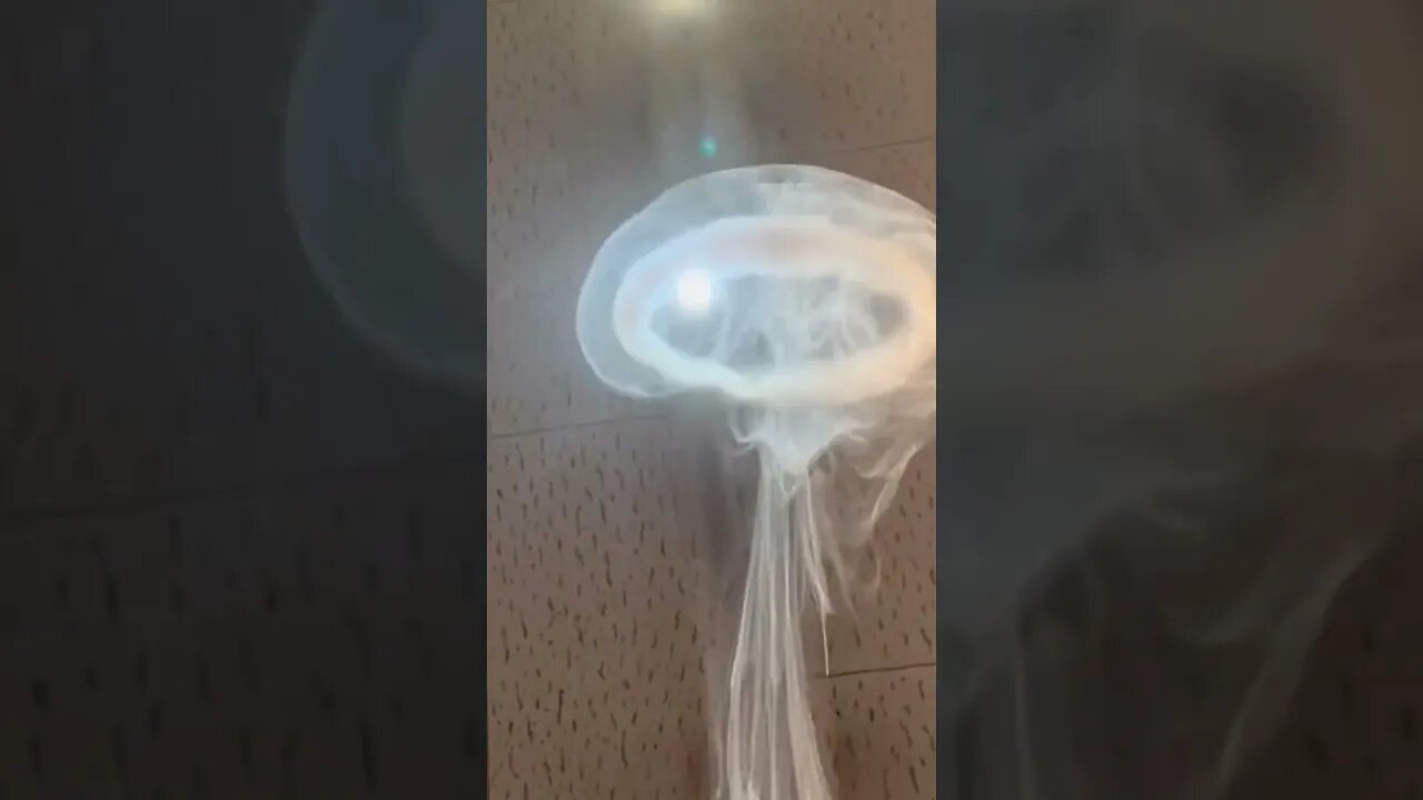 Vape Tricks πΆβπ«οΈ
