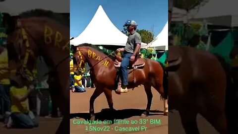 video 2022 11 15 13 31 40