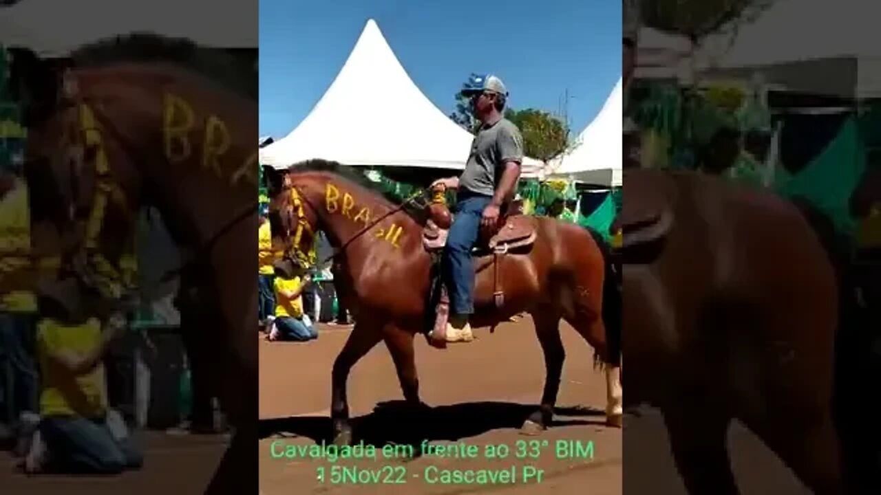 video 2022 11 15 13 31 40