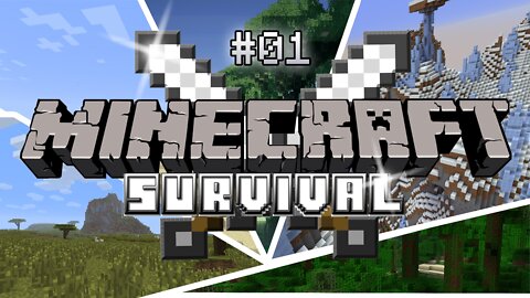 Survived 100 days on a Survival Island in Minecraft