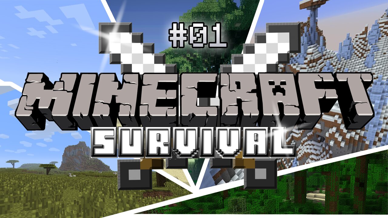 Survived 100 days on a Survival Island in Minecraft