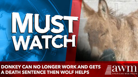 Donkey can no longer work and gets a death sentence