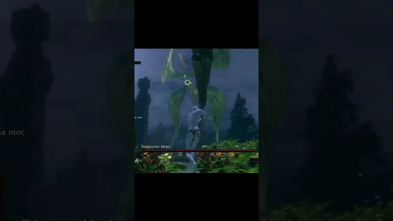 DAY 3 of Killing Bosses until next Witcher game release (Moonlight Butterfly ds1)