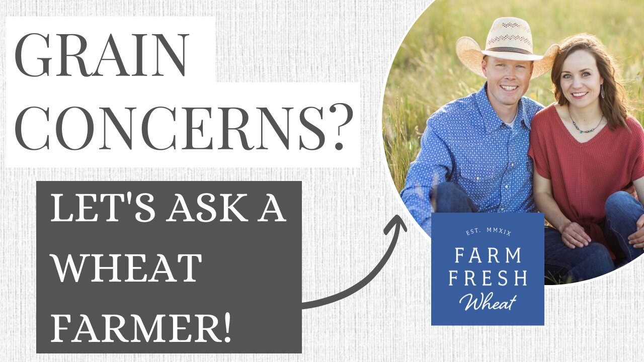 Let's Interview a Wheat Farmer! | Farm Fresh Wheat Interview | Wheat Shortages & USA Wheat Crops