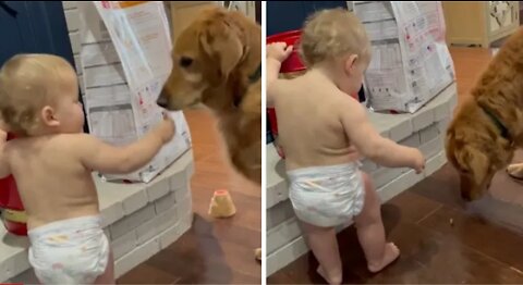 Toddler steals some tasty treats to feed the dog