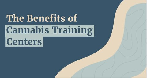 Benefits of Cannabis Training Centers