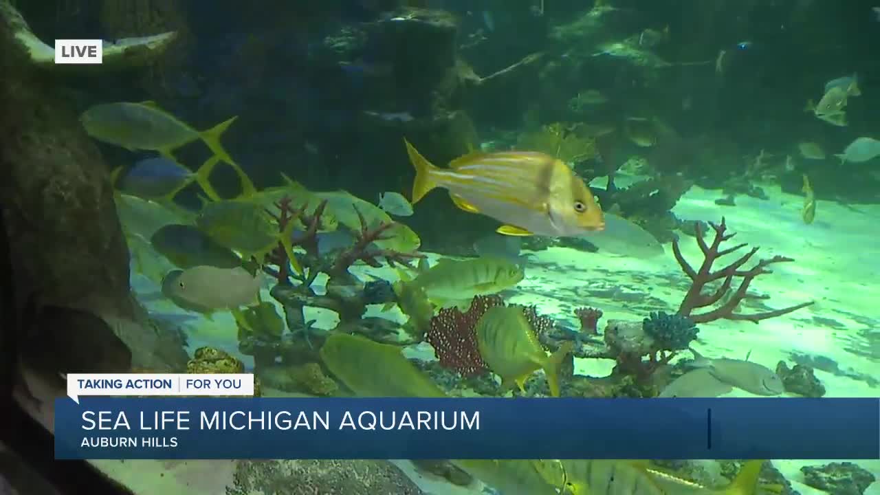 SEA LIFE Michigan