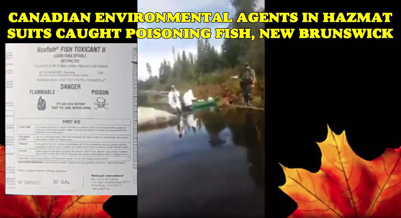 Canadian Environmental Agents POISONING FISH and the WATER SUPPLY!