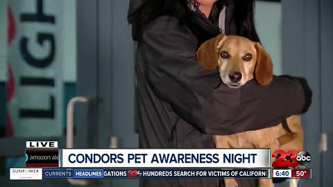 Condors Pet Awareness Night