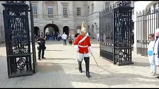 horse pushes the guard #horseguardsparade